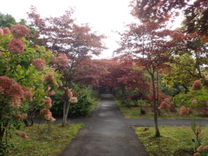 並木　ミナヅキ